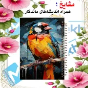 دفتر طراحی و اسکرپ بوک ۴۰ برگ مشایخ طرح نقاشی پرنده کد PSC290 برند ایرانی مشایخ