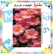 دفتر مشق ۱۰۰ برگ مشایخ طرح گل‌های صورتی کد YN374 با جلد طلقی و پشت چوبی