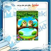 «دفترچه یادداشت جیبی ۶۰ برگ مشایخ با تصویر پرنده‌های آوازخوان رنگی 🐦🎶، جلد طلقی شفاف و فنر مقاوم از بالا»